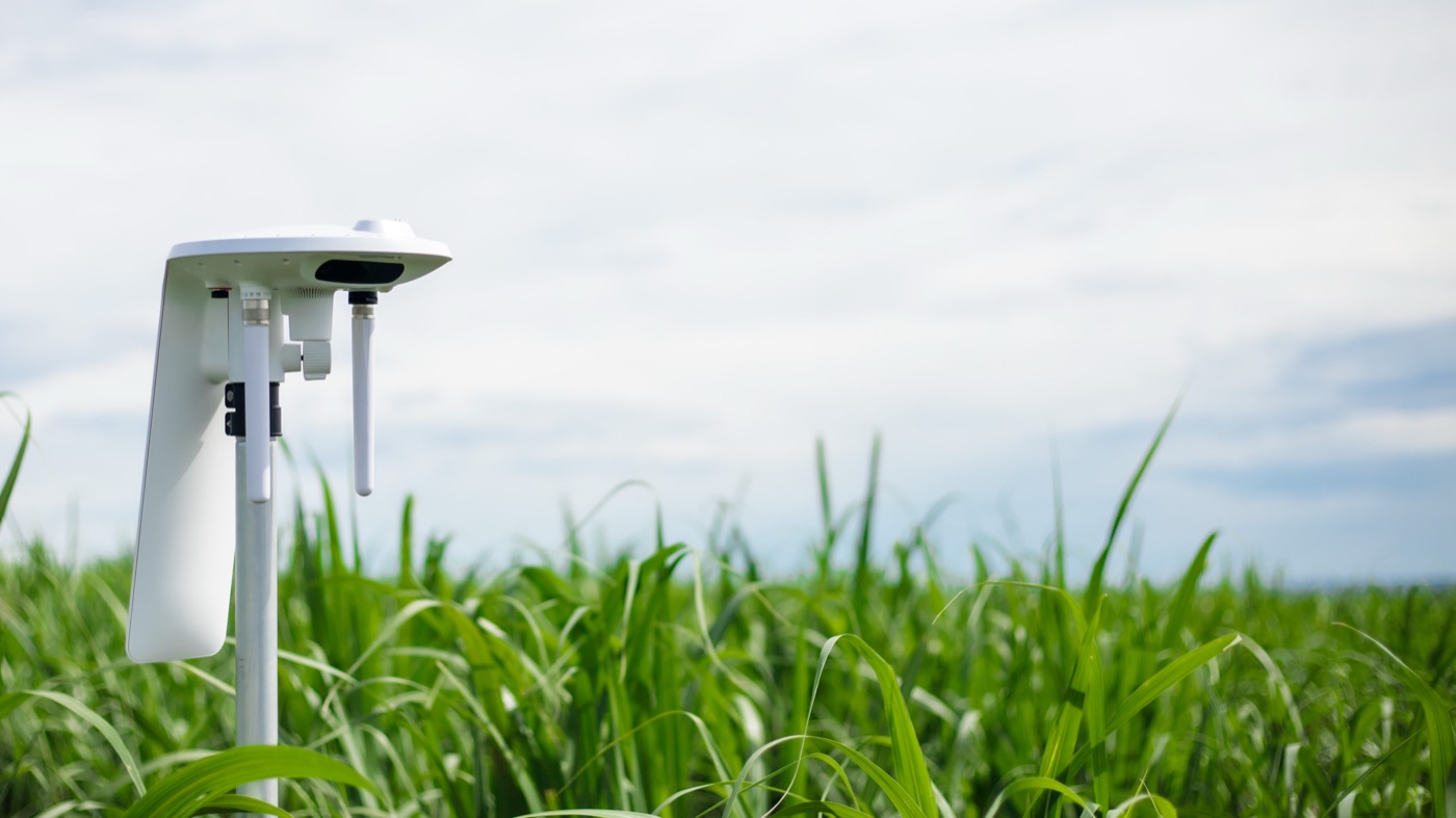 Arable Mark 3 sensor deployed in a sugar cane field