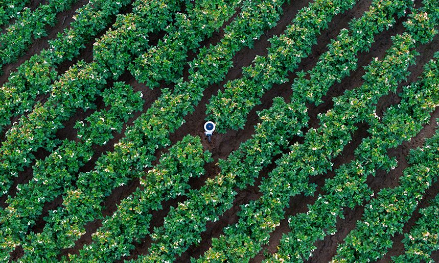 Arable Raises $20M to Digitize Agriculture and Optimize the Food System.jpg